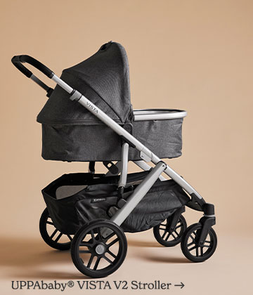 UPPAbaby Vista V2 Stroller