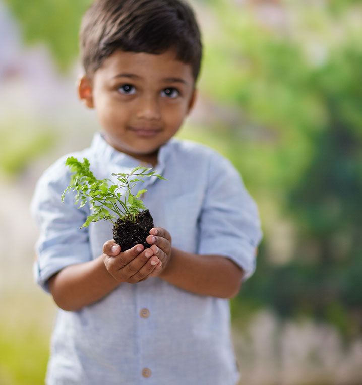 Planting for the Future, 3,344,289 TREES